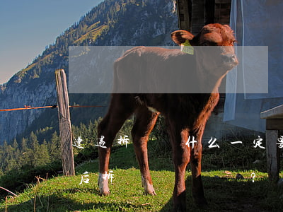 遭遇拆遷，為什么一定要“先補(bǔ)償、后拆遷”？